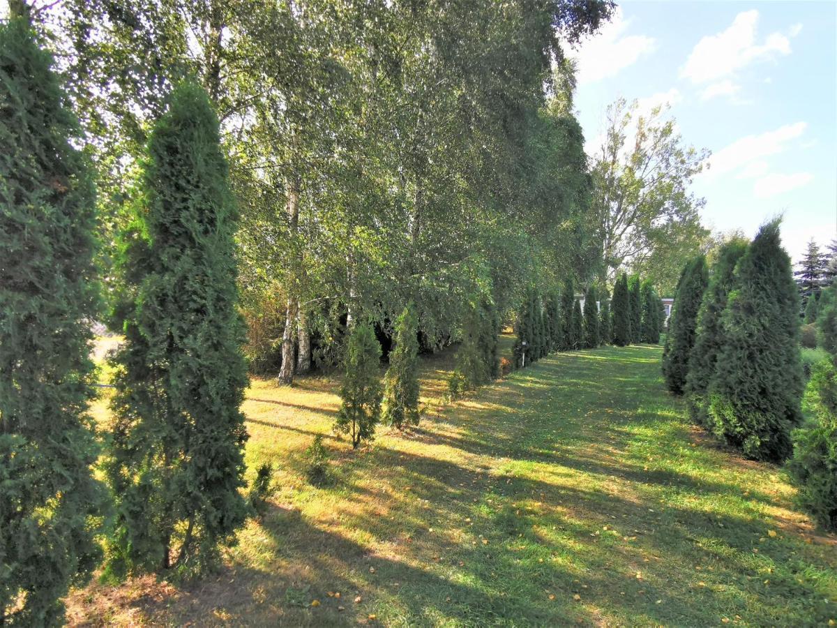 Brzozowe Zacisze Villa Łagów Exterior foto